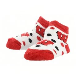 TCK Wisconsin Badgers Toddler Socks Low Cut Little Fan All Schools