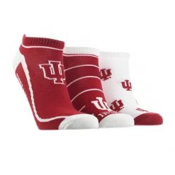 TCK All Schools Indiana Hoosiers No Show Socks Full Field 3 Pack