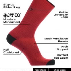 TCK All Schools Arkansas Razorbacks Socks Campus Legend Crew Length 6 TCK All Schools Arkansas Razorbacks Socks Campus Legend Crew Length