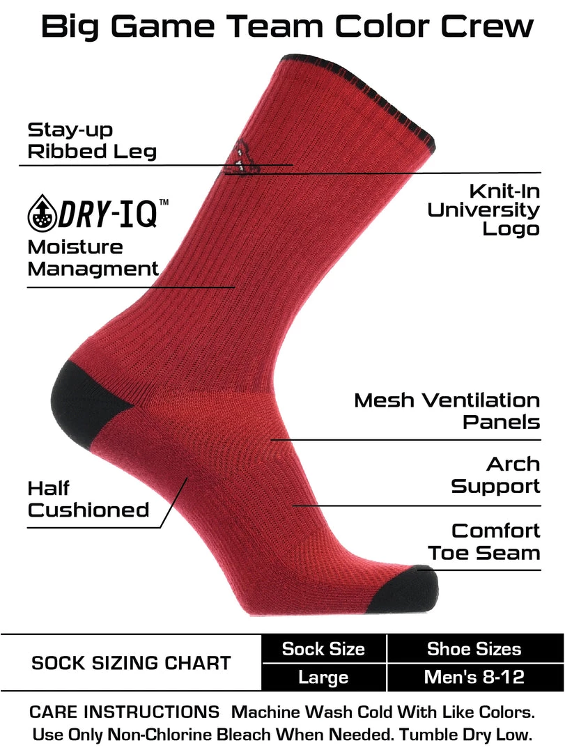 TCK All Schools Arkansas Razorbacks Socks Campus Legend Crew Length 3 TCK All Schools Arkansas Razorbacks Socks Campus Legend Crew Length