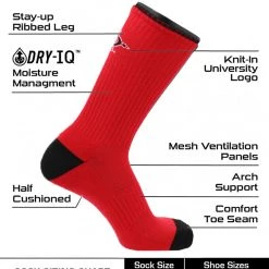 TCK All Schools San Diego State Socks San Diego State University Aztecs Socks Campus Legend Crew Length