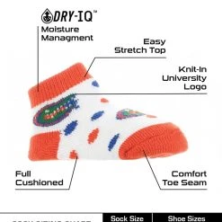 TCK Florida Gators Toddler Socks Low Cut Little Fan All Schools