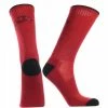 TCK All Schools Arkansas Razorbacks Socks Campus Legend Crew Length