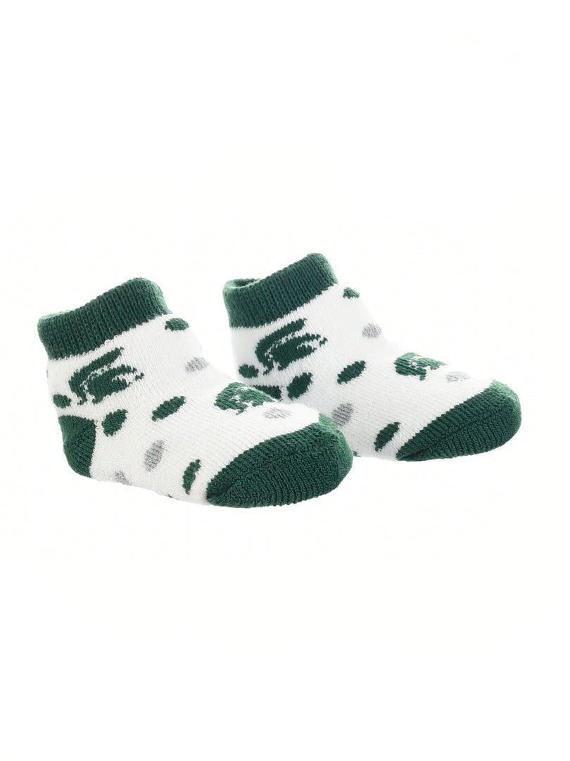 TCK Michigan State Spartans Toddler Socks Low Cut Little Fan All Schools 1 TCK Michigan State Spartans Toddler Socks Low Cut Little Fan All Schools