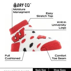 TCK Wisconsin Badgers Toddler Socks Low Cut Little Fan All Schools