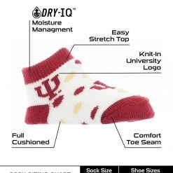TCK Indiana Hoosiers Toddler Socks Low Cut Little Fan