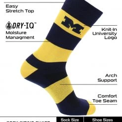 TCK Michigan Wolverines Socks Game Day Striped Crew Socks