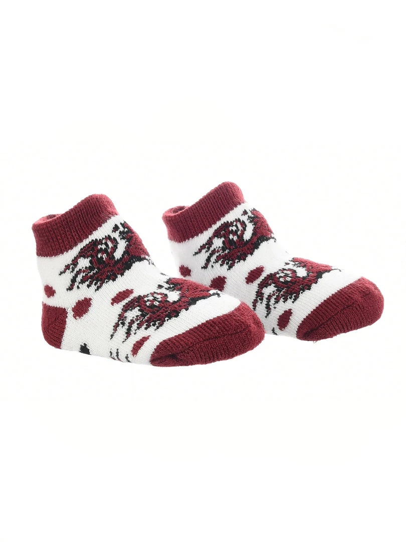 TCK South Carolina Fighting Gamecocks Toddler Socks Low Cut Little Fan All Schools 4 TCK South Carolina Fighting Gamecocks Toddler Socks Low Cut Little Fan All Schools