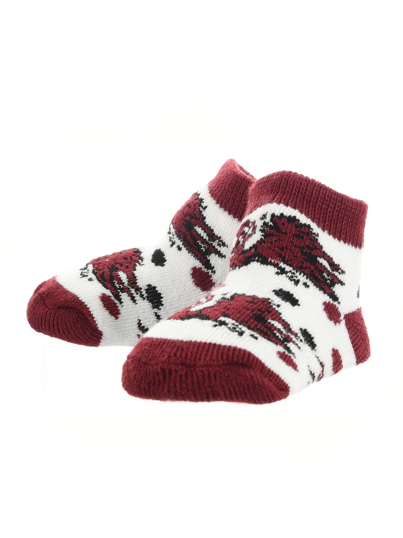TCK South Carolina Fighting Gamecocks Toddler Socks Low Cut Little Fan All Schools 2 TCK South Carolina Fighting Gamecocks Toddler Socks Low Cut Little Fan All Schools