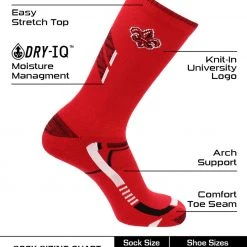 TCK Louisiana Lafayette Ragin' Cajuns Socks Champion Crew Socks All Schools