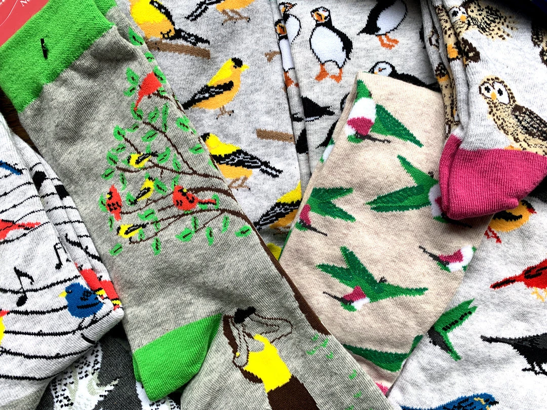 WHD Bird Song Socks For Women Gift For Bird Lovers Crazy Socks - Crew 4 WHD Bird Song Socks For Women Gift For Bird Lovers Crazy Socks - Crew