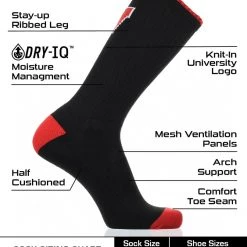 TCK All Schools Wisconsin Badgers Socks Campus Legend Crew Length